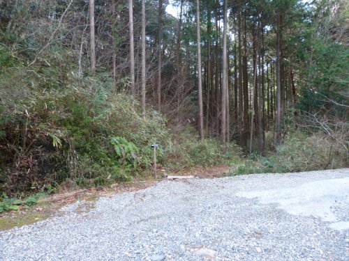 画像31